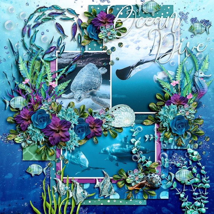 Ocean Dive