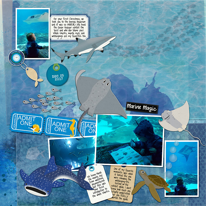 Ocean Voyager