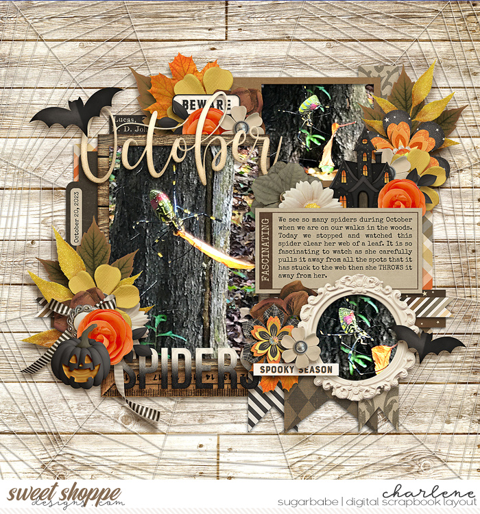 October Spiders