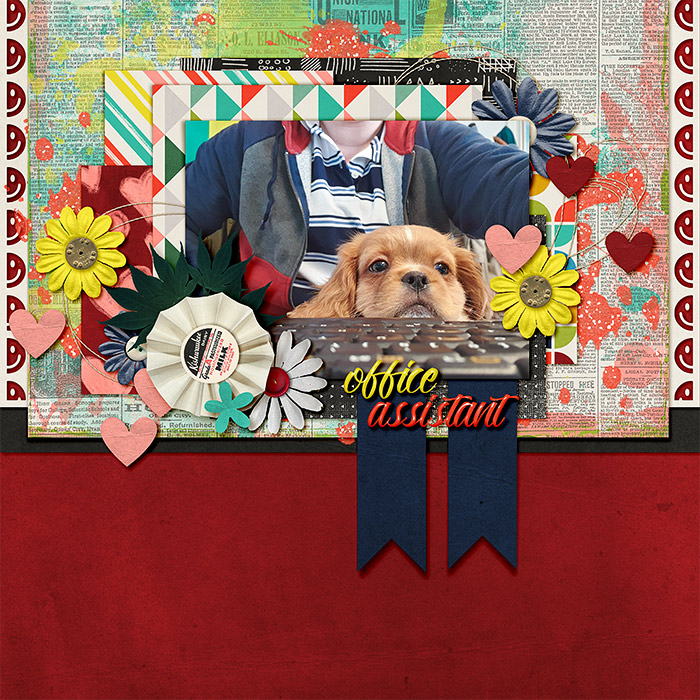 Office Assistant