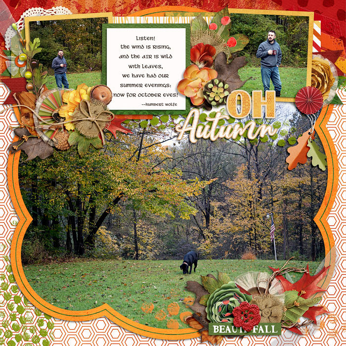 Oh Autumn!
