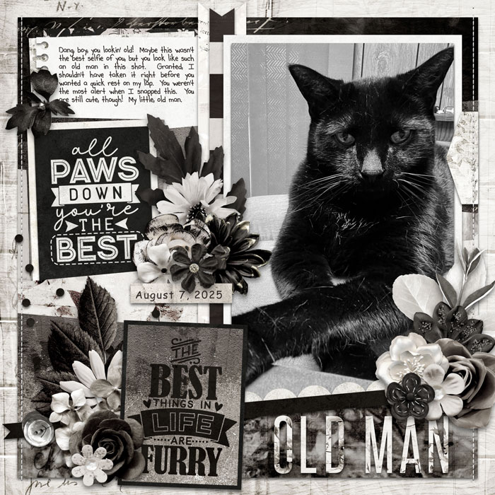 Old Man
