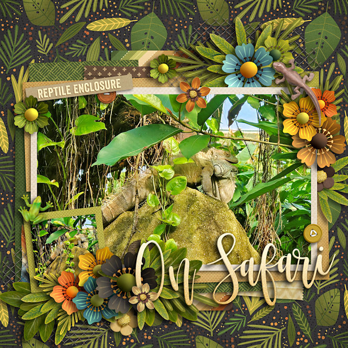 On safari