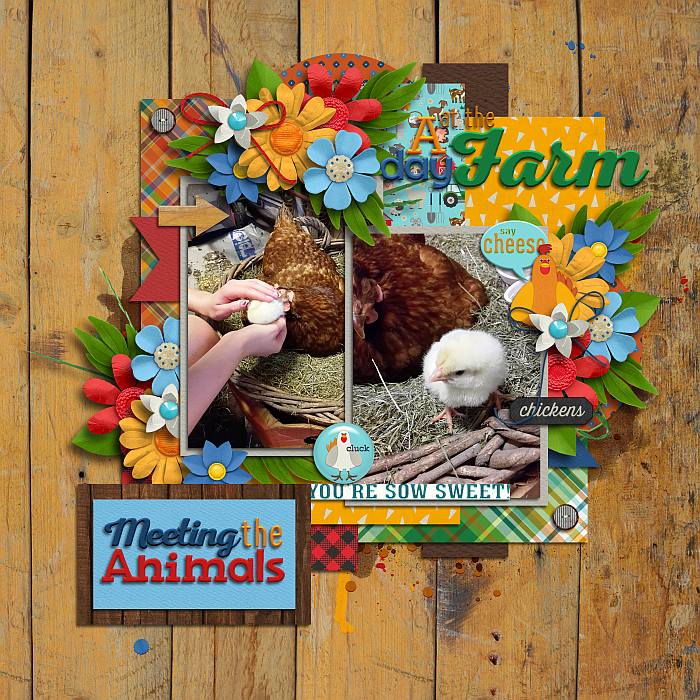 On the farm