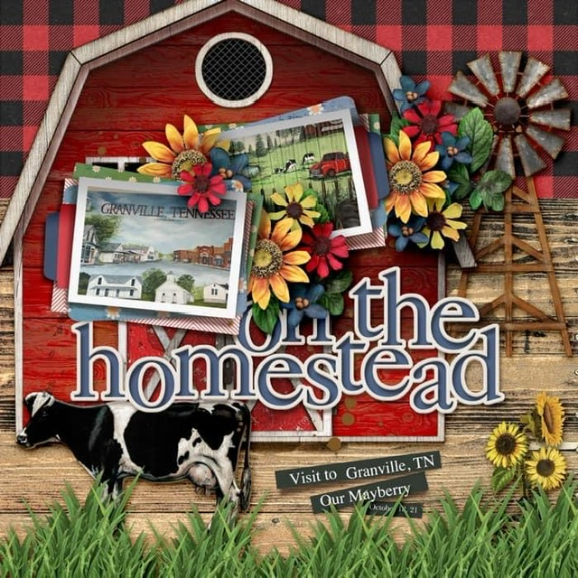 On The Homstead