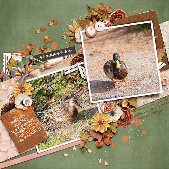 One Autumn Day