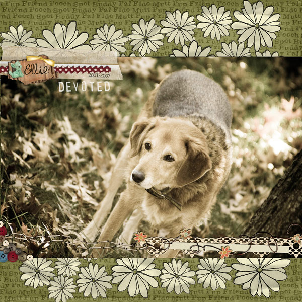 One Devoted Doggie