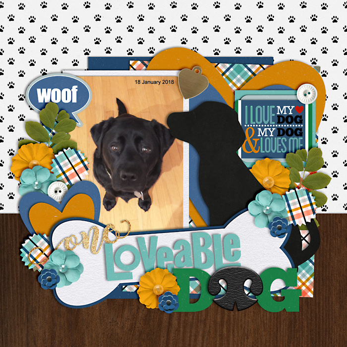 One Lovable Dog