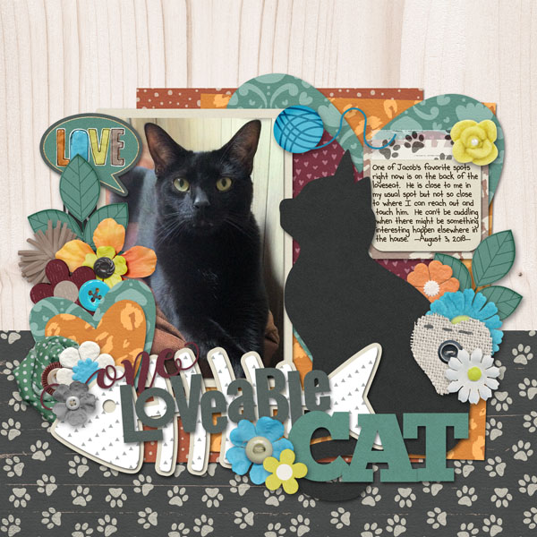 One Loveable Cat