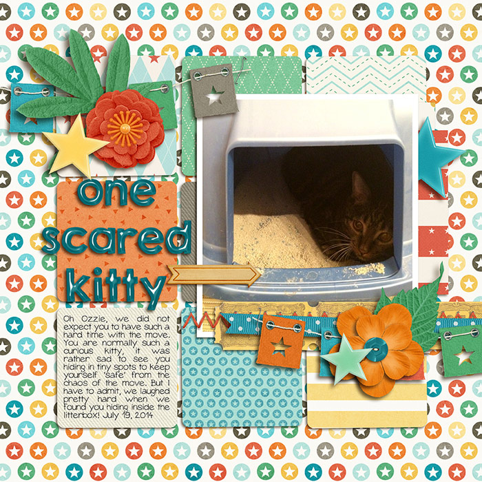One Scared Kitty