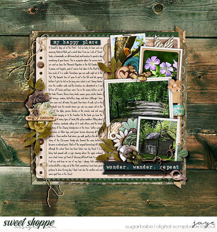 One Template, 16 Ways: Cindy Schneider