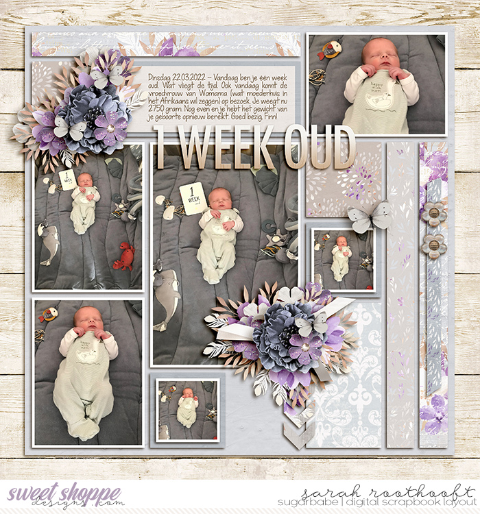 One Week Old