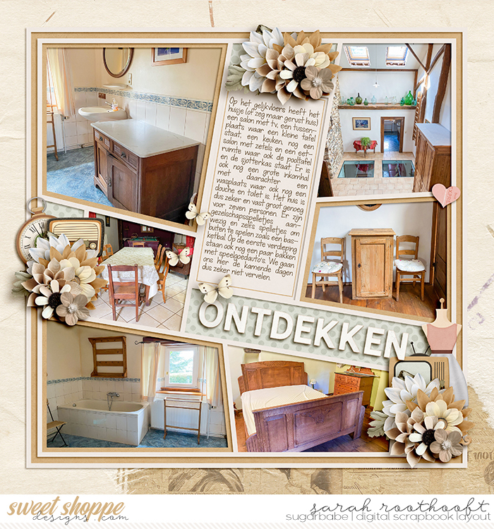 Ontdekken