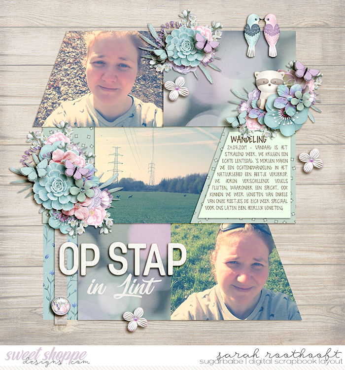 Op stap in Lint