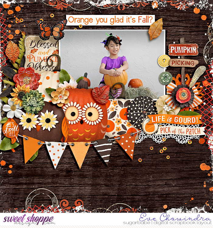 orange you glad it's fall?