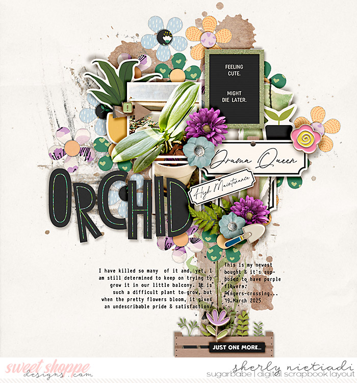 orchid