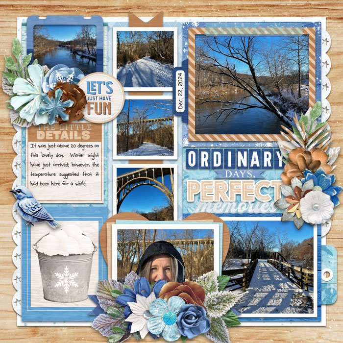 Ordinary Days