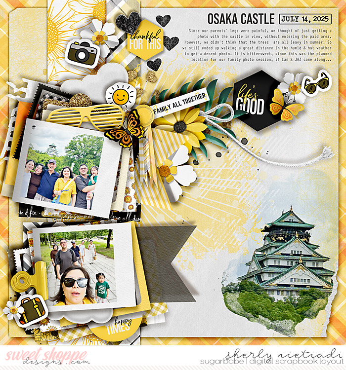 Osaka Castle