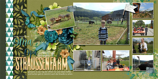 Ostrich farm