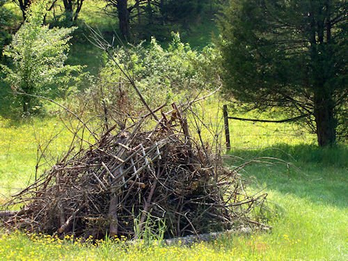 Our Burn Pile