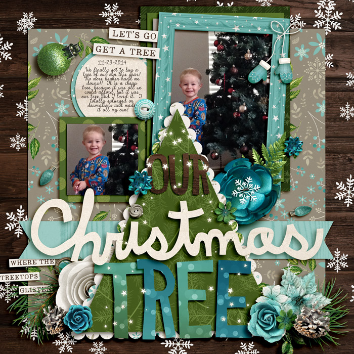 Our Christmas Tree