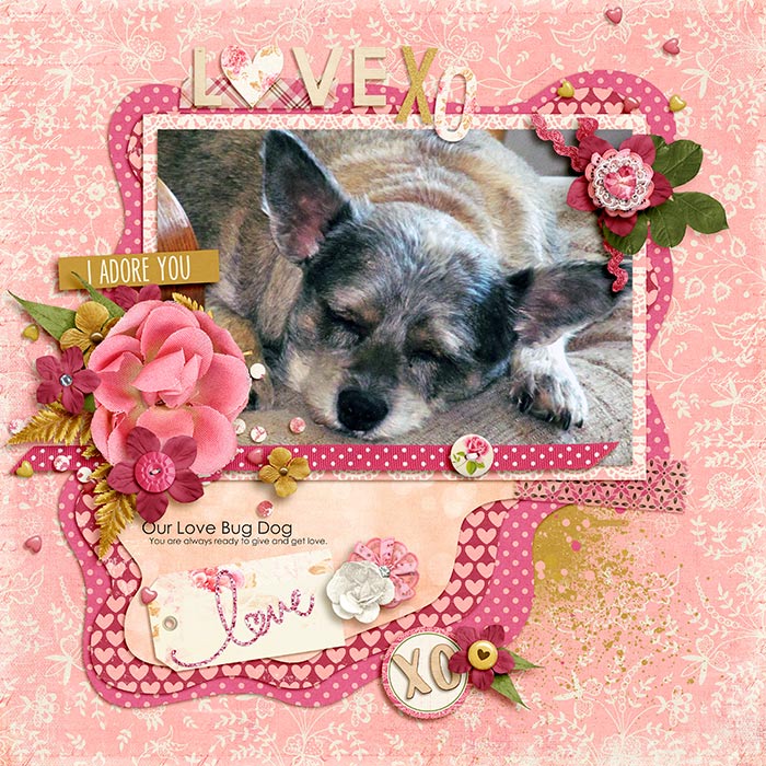 Our Dog