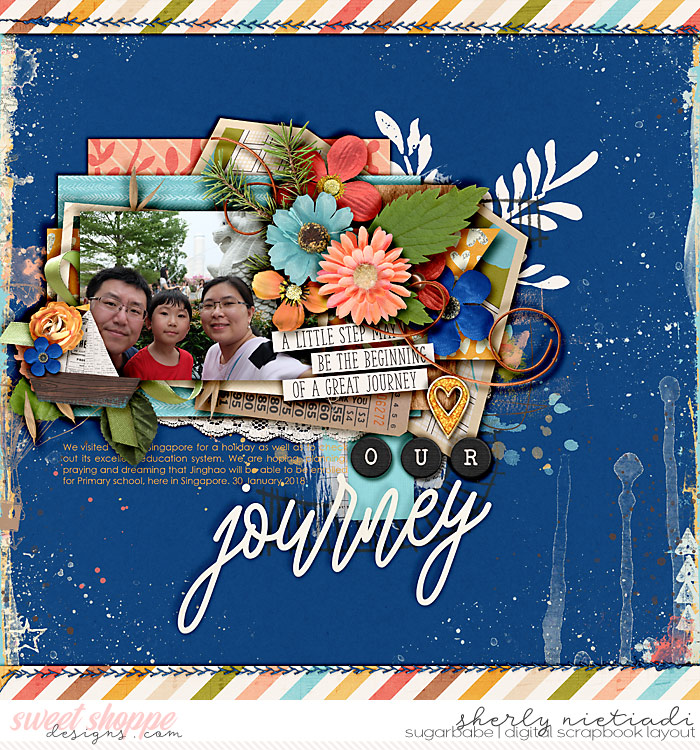 our journey