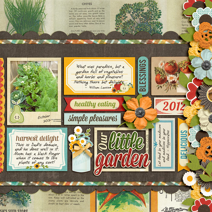 Our little garden