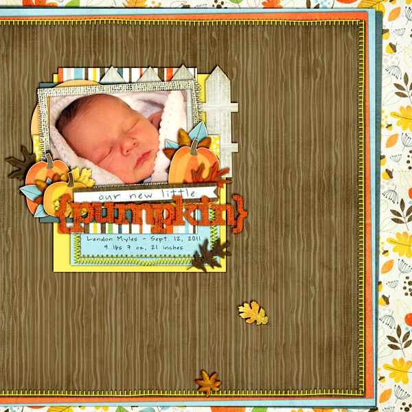 Our New Little Pumpkin