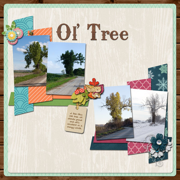 Our Ol' Tree