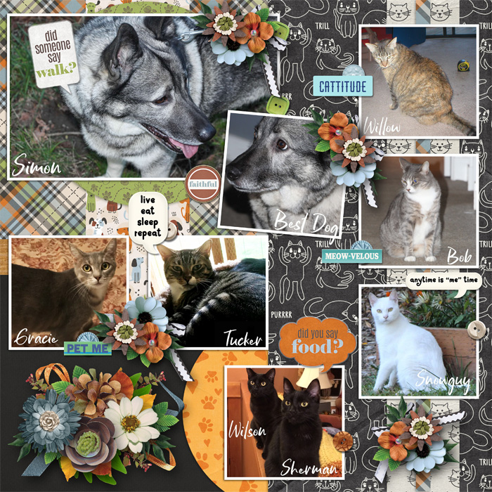 Our Pets