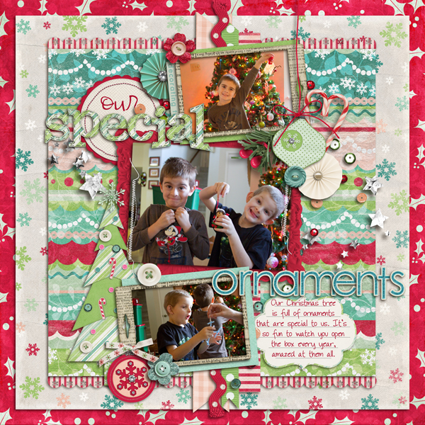 Our Special Ornaments