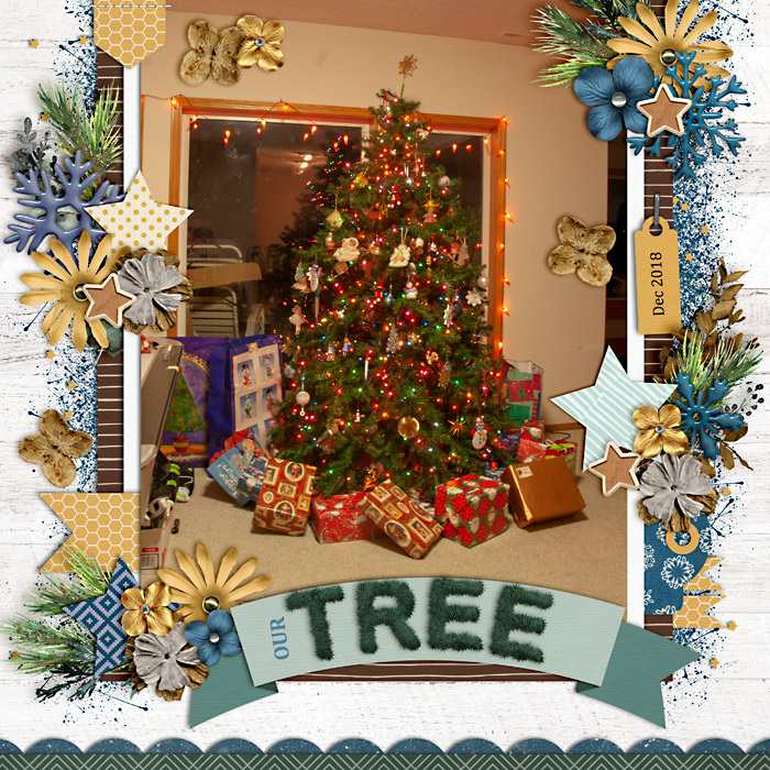 Our Tree