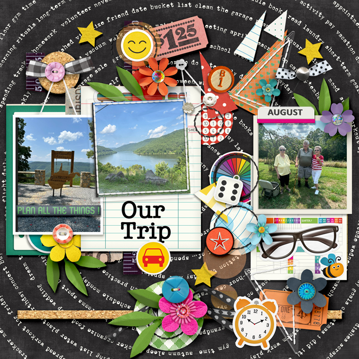Our Trip