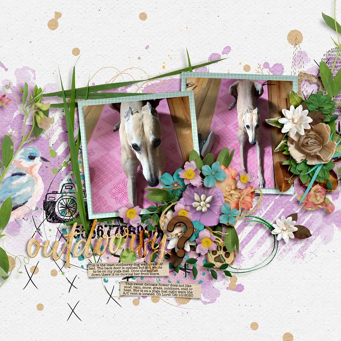 Outdoorsy? - Scraplift from Lisa Challenge