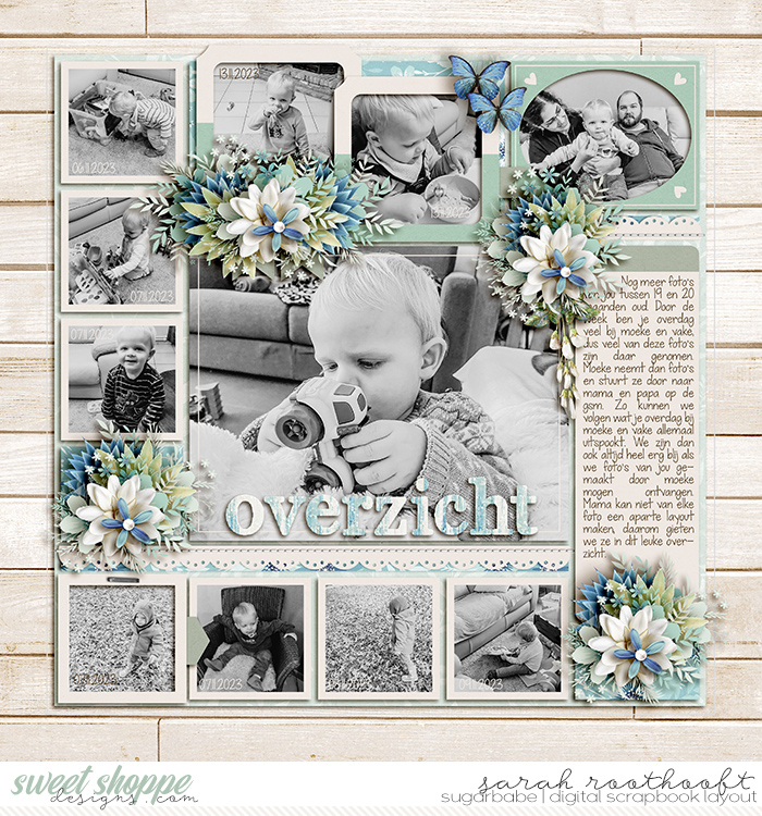 Overzicht