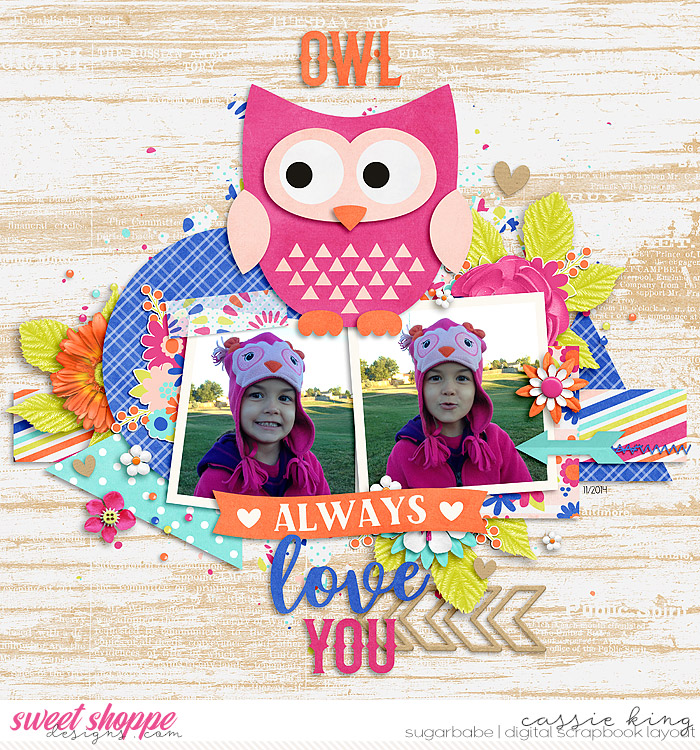 Owl Always Love You