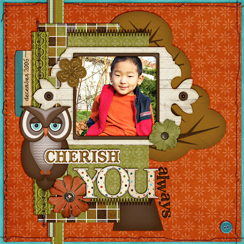 Owl Cherish You Always