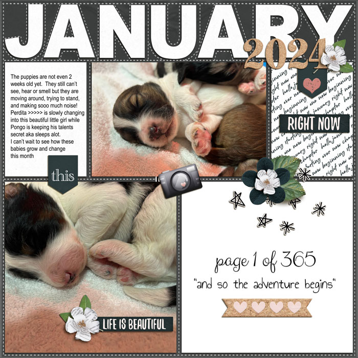 Page 1 of 2024