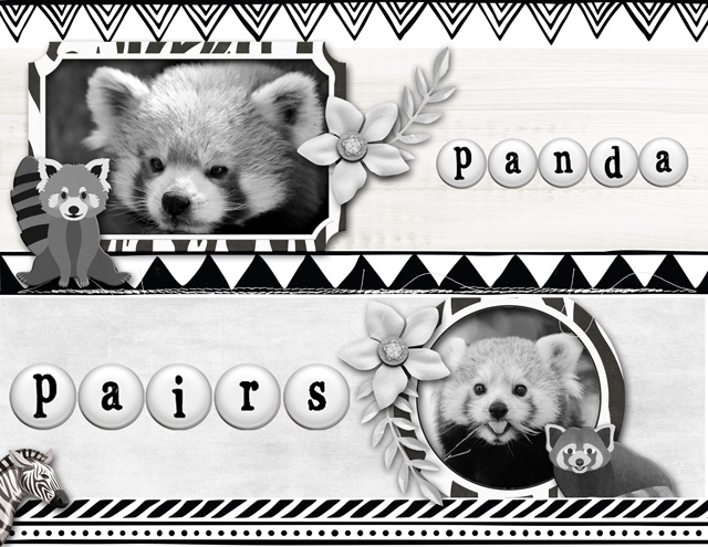 Panda Pairs