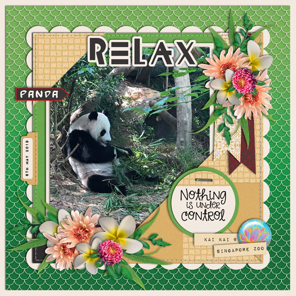 Panda