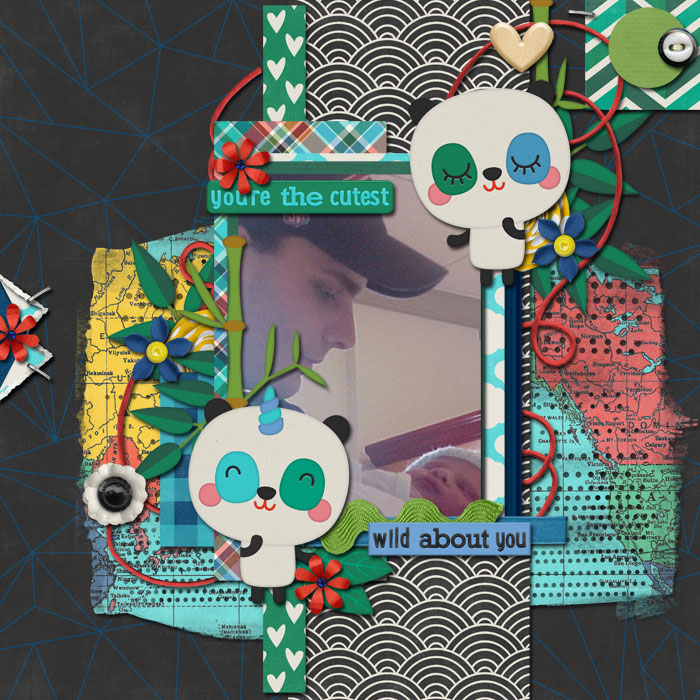 panda1