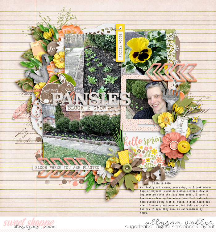Pansies