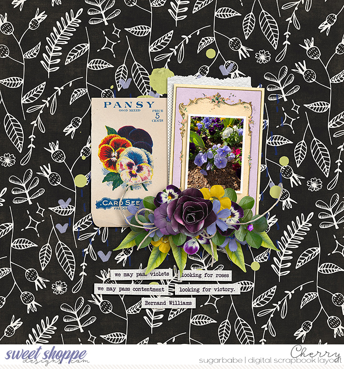 Pansy
