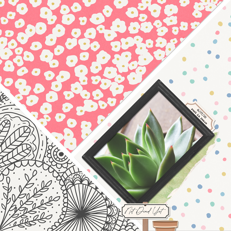 Paper to Digi Scraplift iNSD 2026