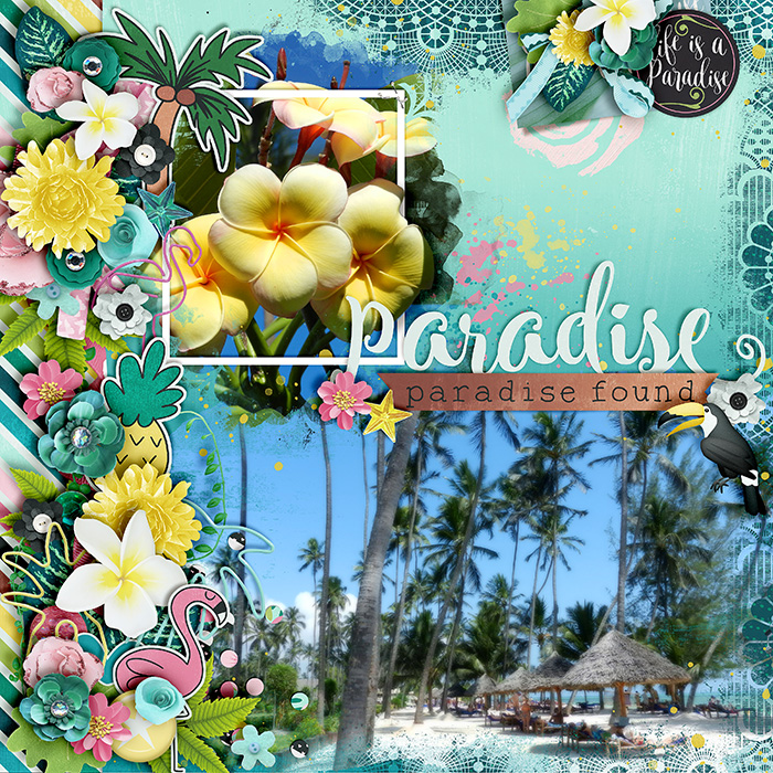 Paradise Found