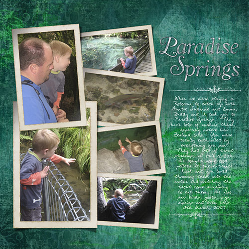 Paradise Springs