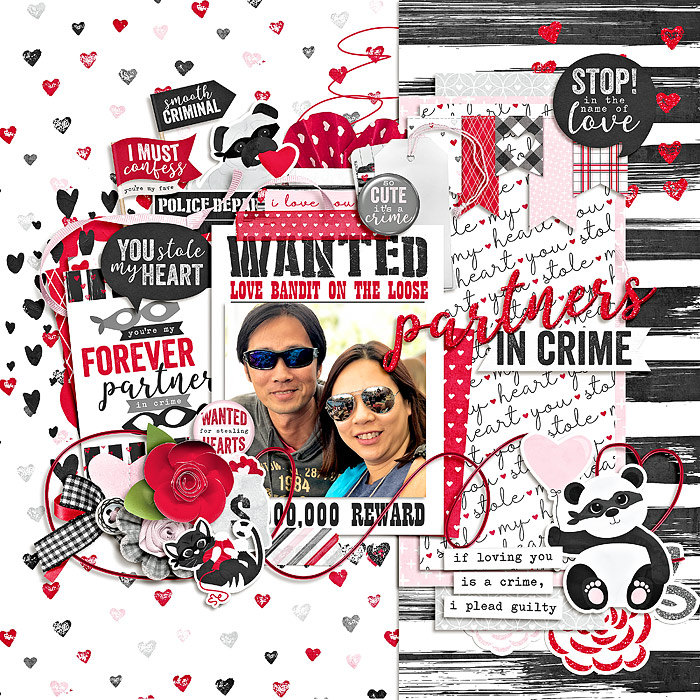 partner in crimes