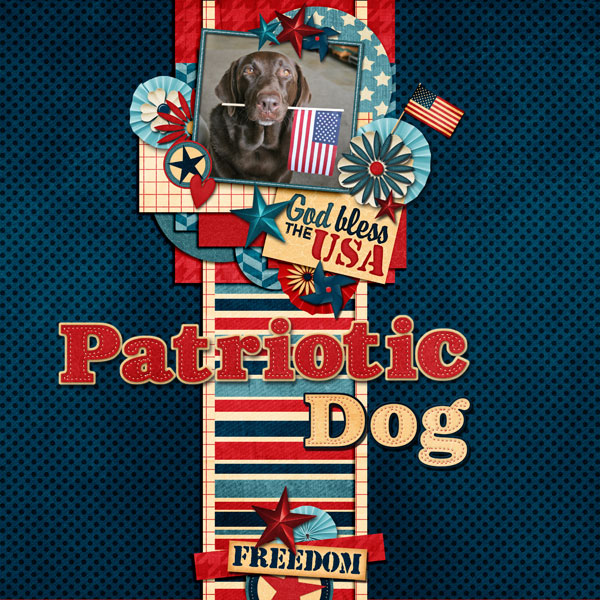 Patriotic Dog