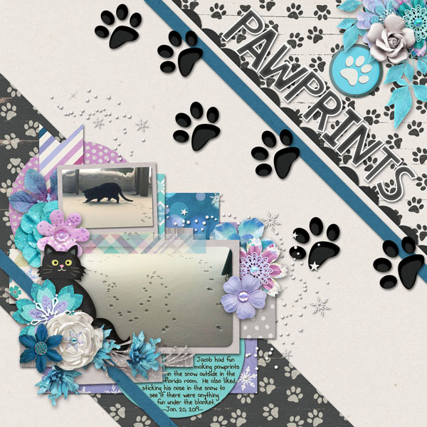 Pawprints